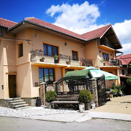 Pensiunea Remus Hotel โนวาชิ-สเตรยนี ภายนอก รูปภาพ