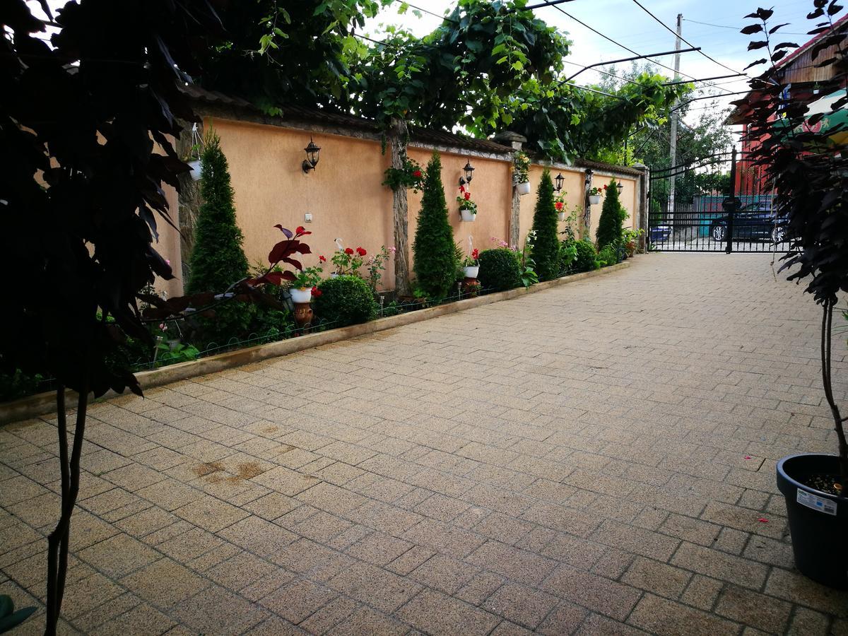 Pensiunea Remus Hotel โนวาชิ-สเตรยนี ภายนอก รูปภาพ