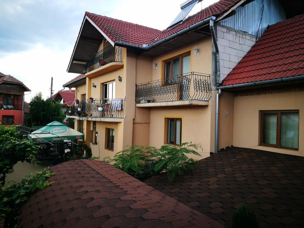 Pensiunea Remus Hotel โนวาชิ-สเตรยนี ภายนอก รูปภาพ