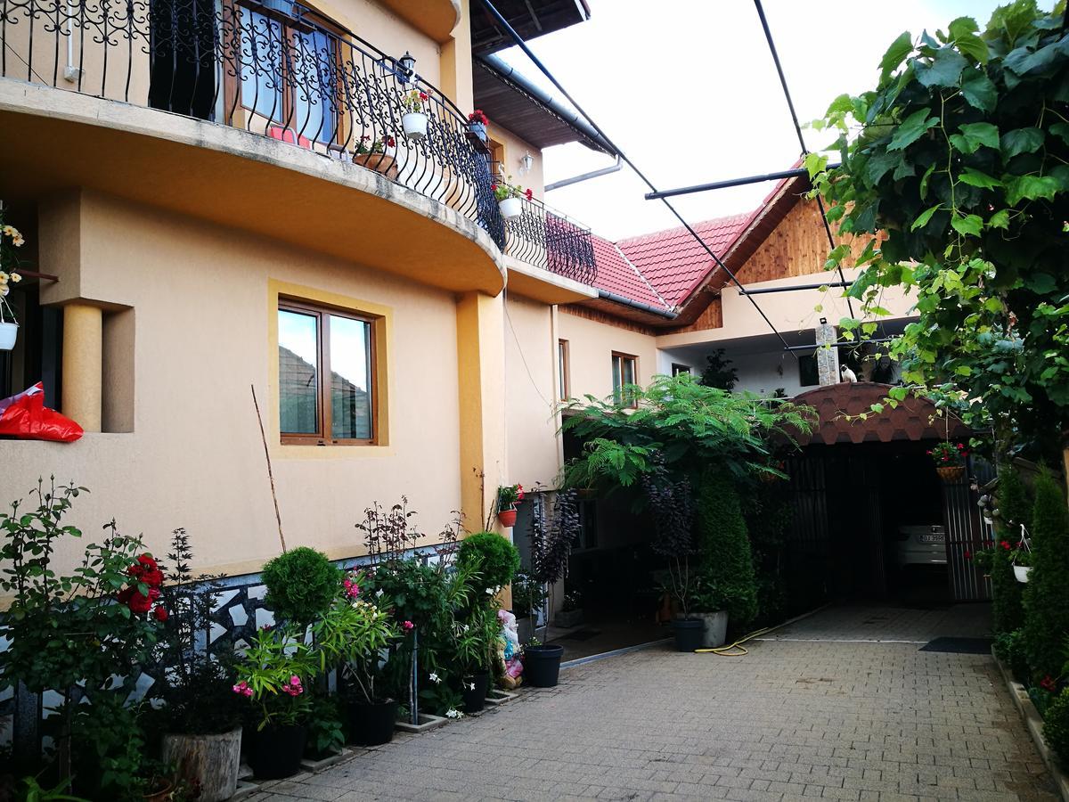 Pensiunea Remus Hotel โนวาชิ-สเตรยนี ภายนอก รูปภาพ